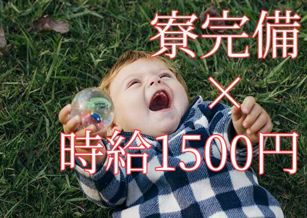 自動車