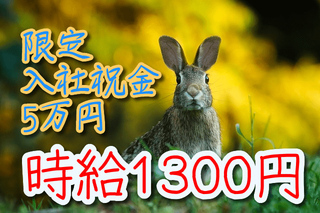 金属