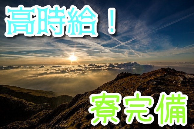 電子