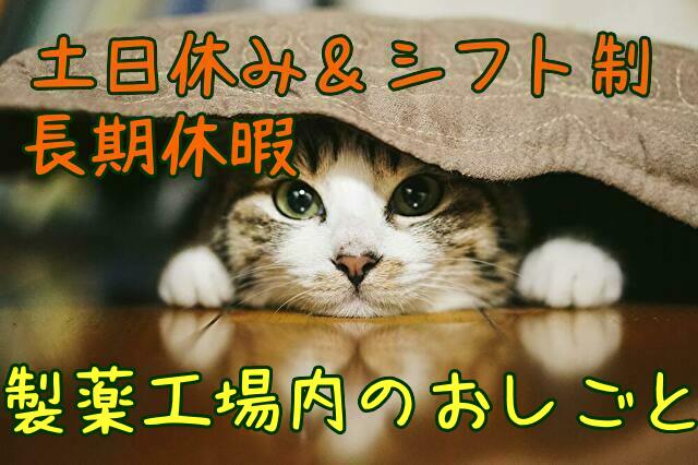 医薬品